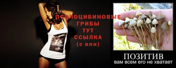 винт Верея