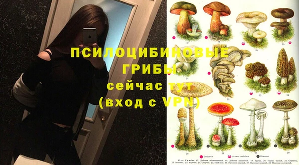 винт Верея