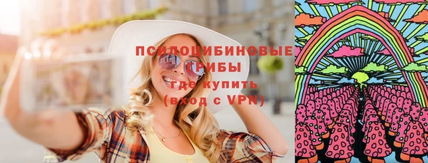 винт Верея