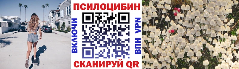 Псилоцибиновые грибы мицелий  магазин  наркотиков  Чекалин 