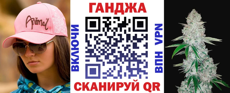 дарнет шоп  Чекалин  гидра зеркало  Марихуана сатива 